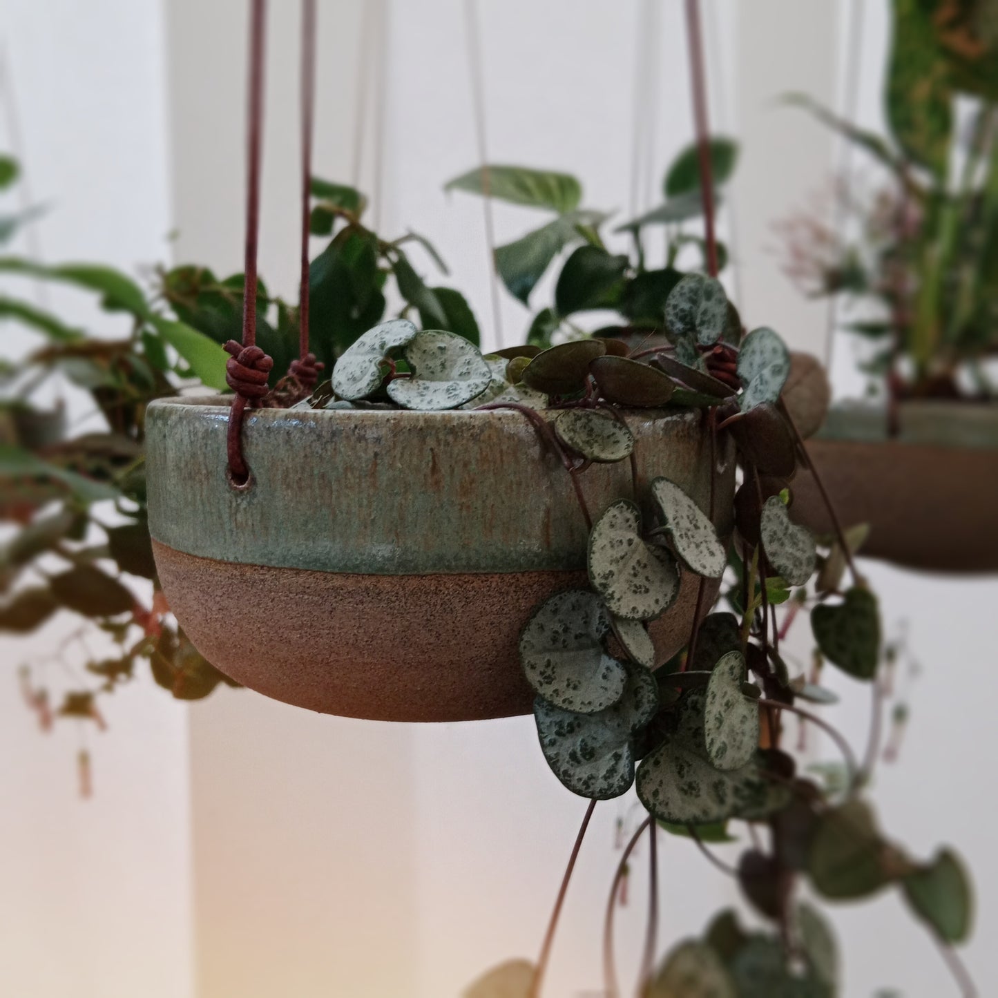 Urban Jungle Plant Ampel